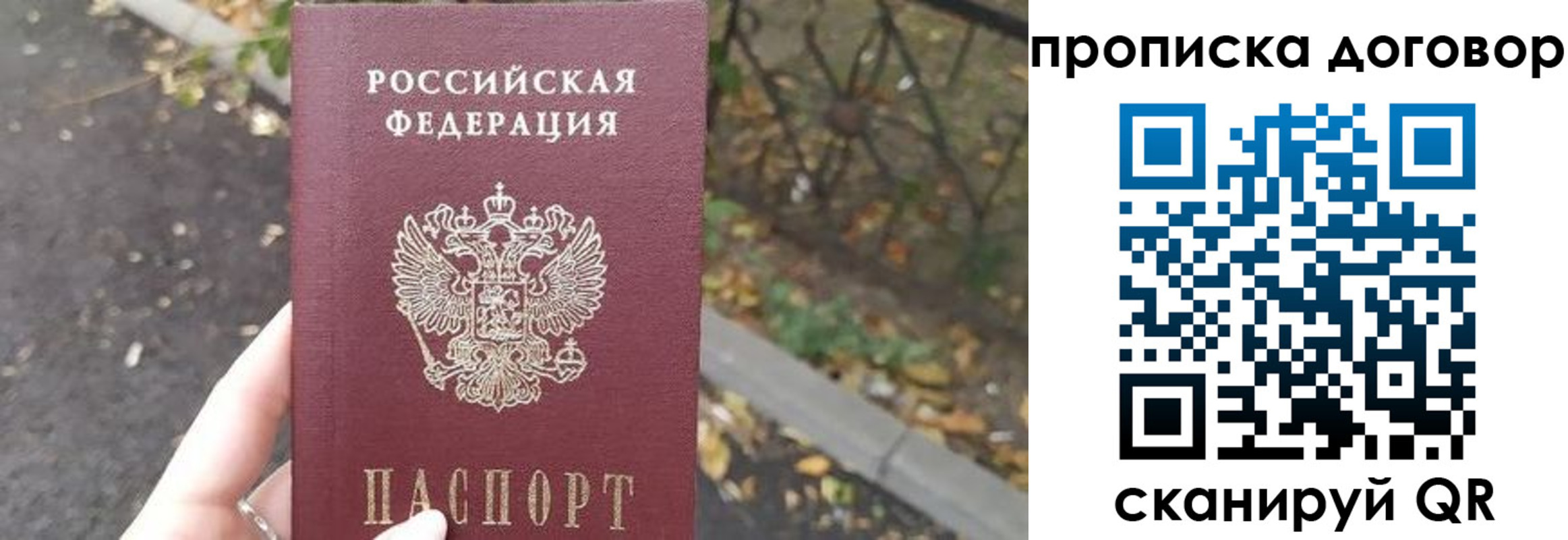 временная регистрация недорого в Сланцах